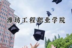 潍坊工程职业学院2024在河北录取分数线是多少？最低406分/最高468分
