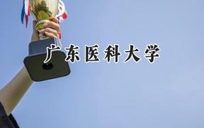 2024广东医科大学录取分数线：江苏最低508分