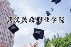 武汉民政职业学院2024在浙江录取分数线是多少？最低398分/最高548分