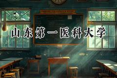 山东第一医科大学2024在江苏录取分数线是多少？最低533分/最高600分