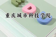 2024重庆城市科技学院录取分数线：宁夏最低398分
