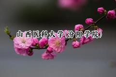 山西医科大学(汾阳学院)2024在内蒙古录取分数线是多少？最低426分/最高521分