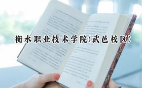 衡水职业技术学院(武邑校区)2024在河北录取分数线是多少？最低359分/最高423分