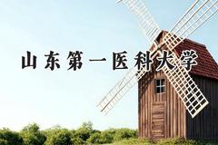 山东第一医科大学2024在天津录取分数线是多少？最低528分/最高619分