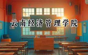 云南经济管理学院2024在四川录取分数线是多少？最低348分/最高500分