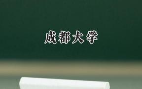 成都大学2024在辽宁录取分数线是多少？最低530分/最高592分