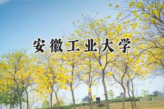 安徽工业大学2024在上海录取分数线是多少？最低441分/最高471分