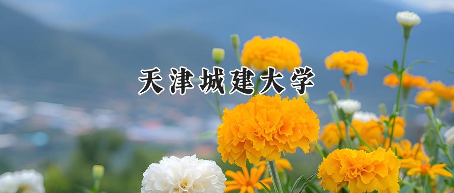 天津城建大学