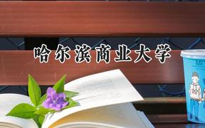 哈尔滨商业大学2024在浙江录取分数线是多少？最低486分/最高593分