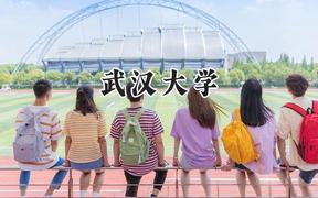 2024武汉大学录取分数线：天津最低629分