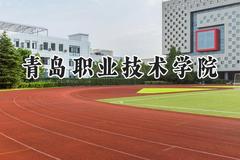 青岛职业技术学院2024在贵州录取分数线是多少？最低289分/最高383分