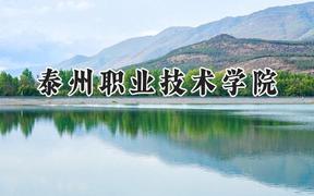 泰州职业技术学院2024在内蒙古录取分数线是多少？最低287分/最高361分