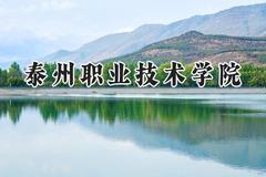 泰州职业技术学院2024在内蒙古录取分数线是多少？最低287分/最高361分