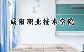 咸阳职业技术学院2024在重庆录取分数线是多少？最低281分/最高377分