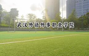 2024武汉外语外事职业学院录取分数线：天津最低154分