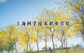 上?？茖W技術(shù)職業(yè)學院2024在內(nèi)蒙古錄取分數(shù)線是多少？最低290分/最高346分