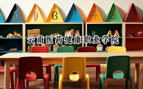 云南医药健康职业学院2024在天津录取分数线是多少？最低199分/最高235分