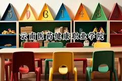 云南医药健康职业学院2024在天津录取分数线是多少？最低199分/最高235分