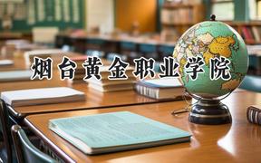 烟台黄金职业学院2024在河北录取分数线是多少？最低269分/最高387分
