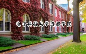电子科技大学成都学院2024在重庆录取分数线是多少？最低231分/最高499分