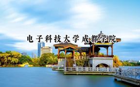 电子科技大学成都学院2024在天津录取分数线是多少？最低497分/最高507分