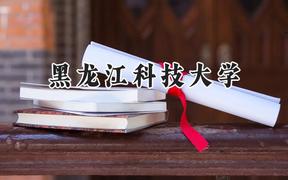 黑龙江科技大学2024在四川录取分数线是多少？最低505分/最高547分