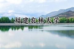 2024福建农林大学录取分数线：天津最低510分