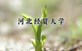 河北经贸大学2024在重庆录取分数线是多少？最低499分/最高550分