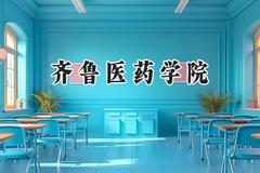 齐鲁医药学院2024在河北录取分数线是多少？最低460分/最高538分