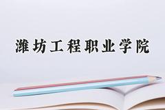 2024潍坊工程职业学院录取分数线：江苏最低423分
