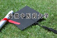 安徽中医药大学2024在浙江录取分数线是多少？最低540分/最高605分