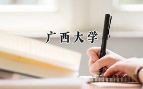 2024广西大学录取分数线：新疆最低440分