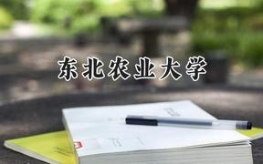 东北农业大学2024在上海录取分数线是多少？最低502分/最高512分
