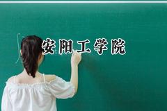 2024安阳工学院录取分数线：宁夏最低411分