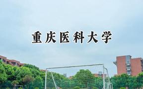 重庆医科大学2024在天津录取分数线是多少？最低573分/最高622分