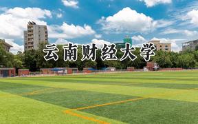 2024云南财经大学录取分数线：江苏最低527分