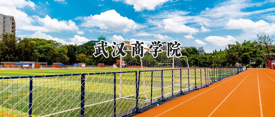 武汉商学院