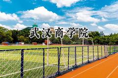 武汉商学院2024在山西录取分数线是多少？最低462分/最高490分
