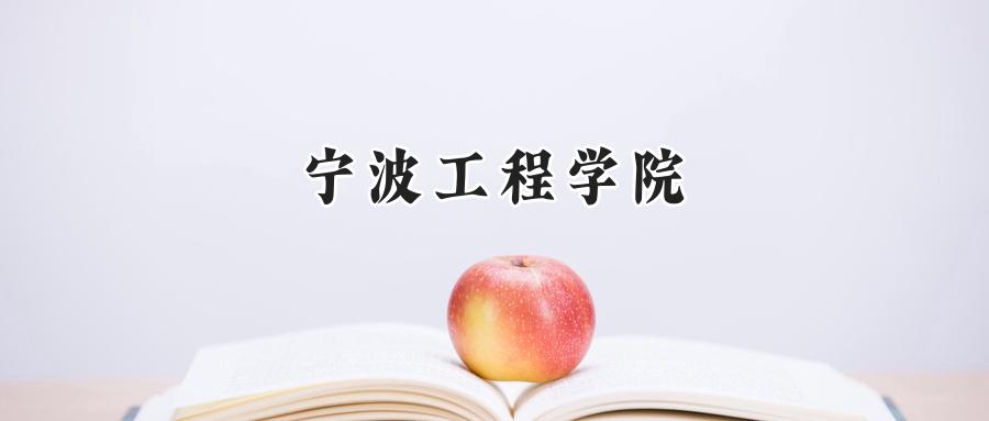 宁波工程学院