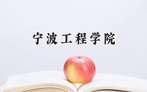 宁波工程学院2024在浙江录取分数线是多少？最低516分/最高590分