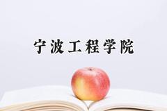 宁波工程学院2024在浙江录取分数线是多少？最低516分/最高590分