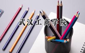 武汉工商学院2024在山西录取分数线是多少？最低294分/最高424分