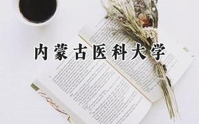 内蒙古医科大学2024在内蒙古录取分数线是多少？最低319分/最高589分