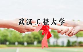 武汉工程大学2024在天津录取分数线是多少？最低562分/最高594分