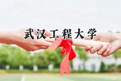 武汉工程大学2024在天津录取分数线是多少？最低562分/最高594分
