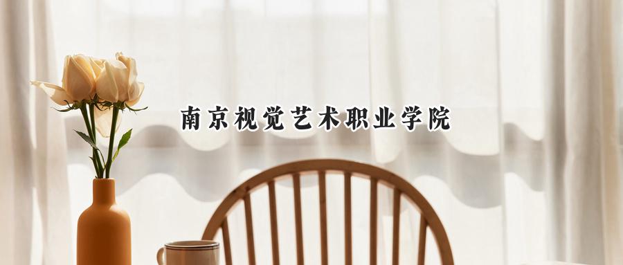 南京视觉艺术职业学院2024在江苏录取分数线是多少？最低234分/最高412分-第1张图片-索考网