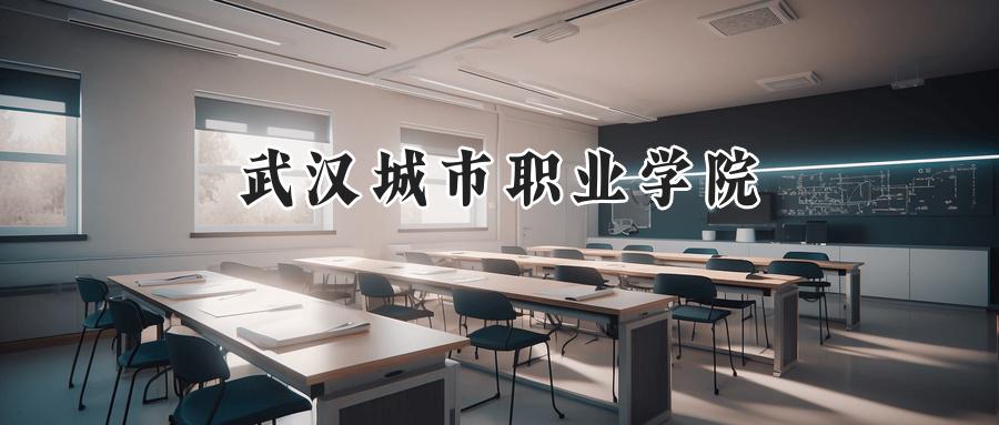 武汉城市职业学院