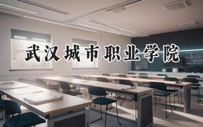 武汉城市职业学院2024在山西录取分数线是多少？最低343分/最高376分