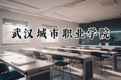 武汉城市职业学院2024在山西录取分数线是多少？最低343分/最高376分