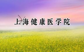 上海健康医学院2024在浙江录取分数线是多少？最低498分/最高580分